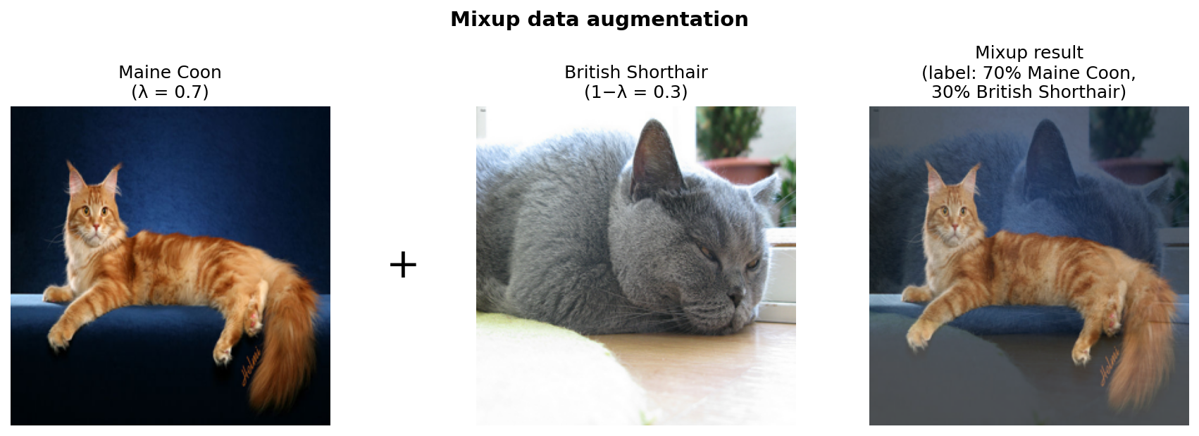 Mixup example: 70% Maine Coon + 30% British Shorthair